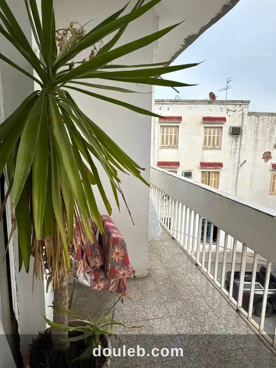 Une maison au coeur de tunis - Miniature 3