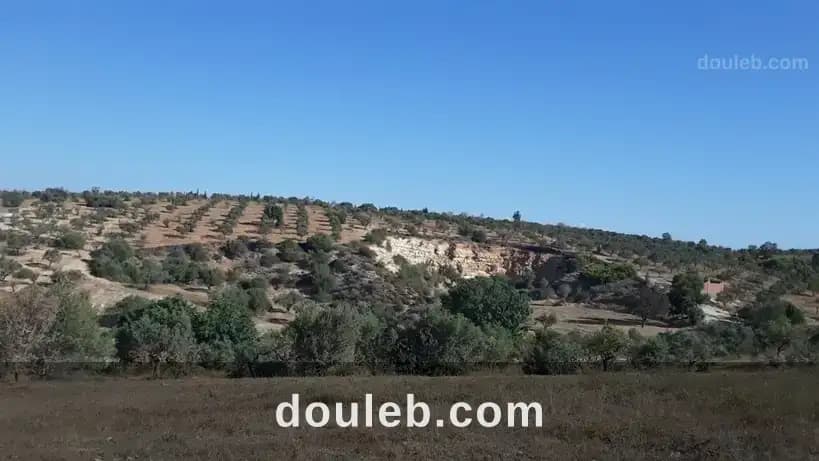 Terrains el mnihla 600 m2 et plus - Miniature 2