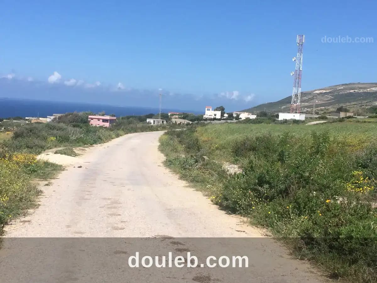 Terrain 1650m a demna metline bizerte à Bizerte