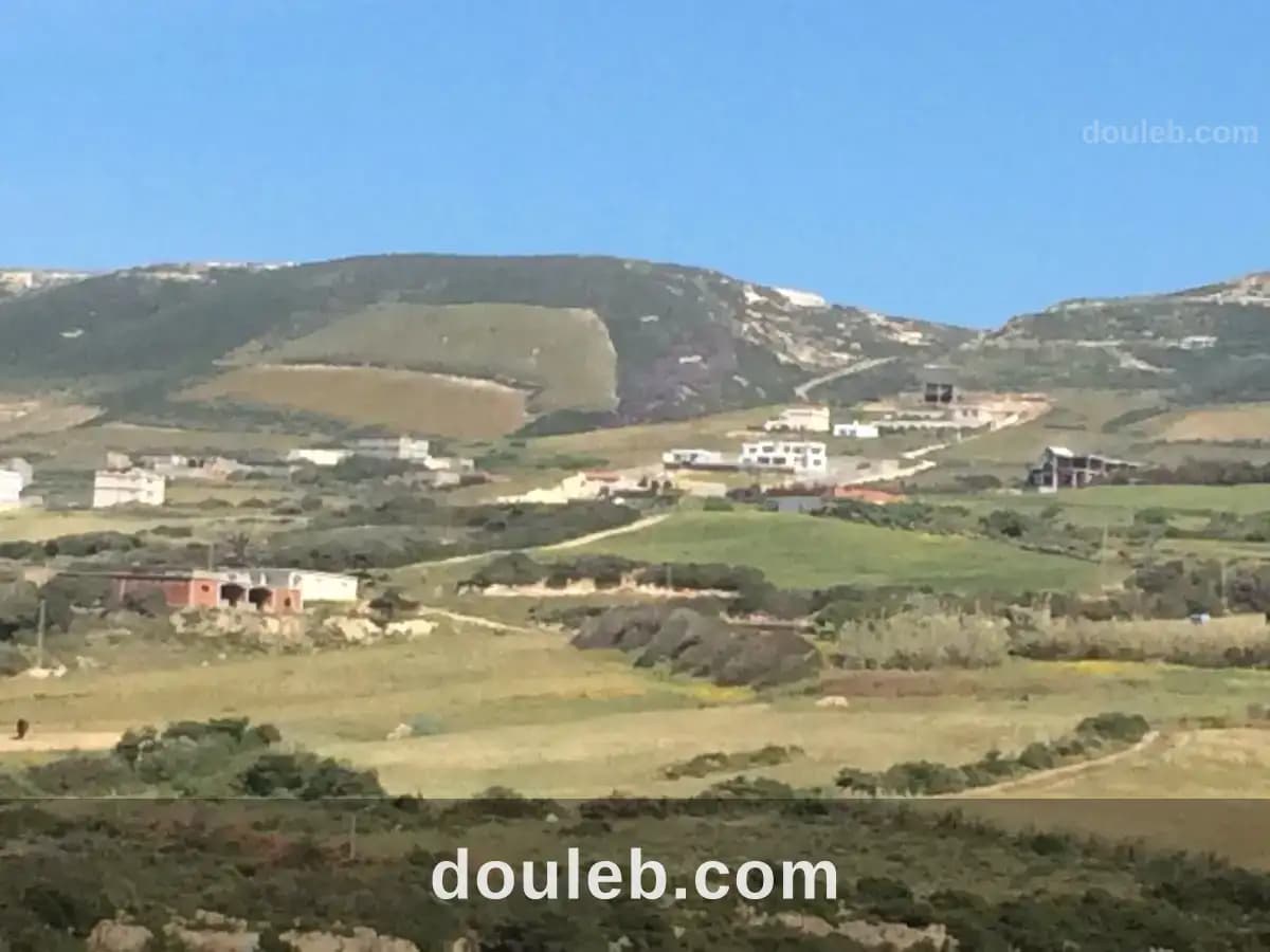 Un beau terrain 3300 m2 a demna metline bizerte - Miniature 3