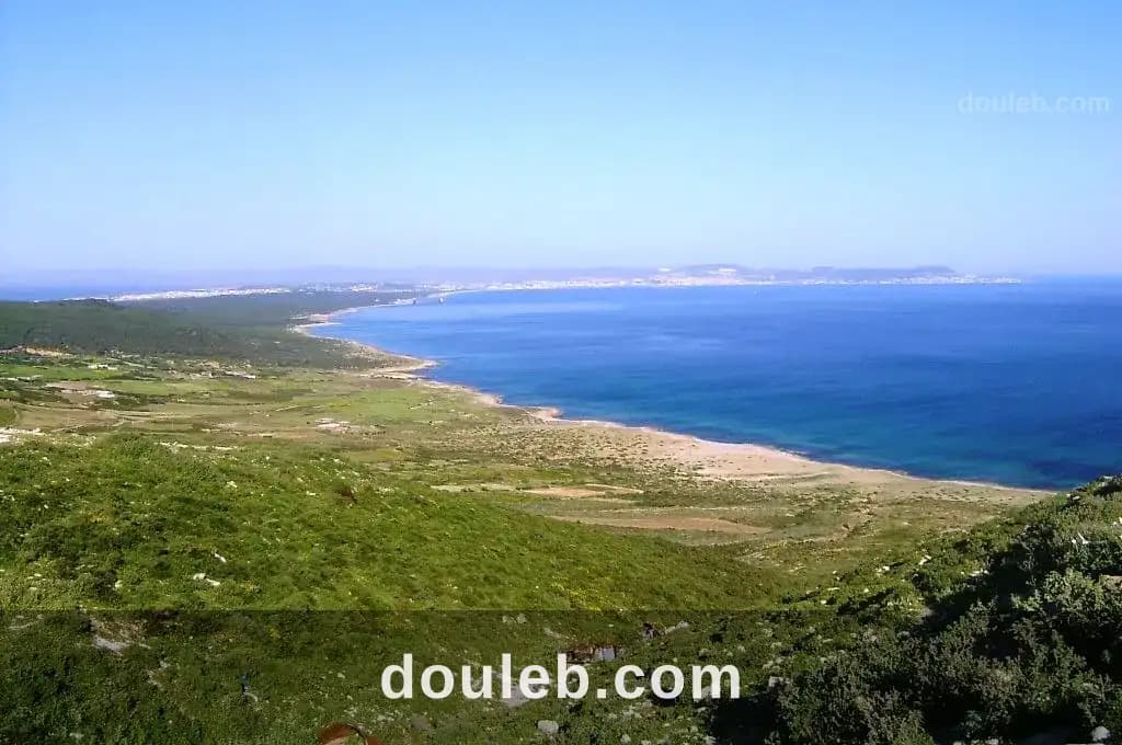 Terrain 1650m a demna metline bizerte - Miniature 3
