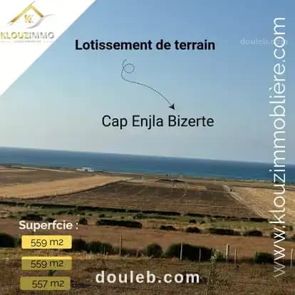 Terrain ras enjla bizerte à Bizerte