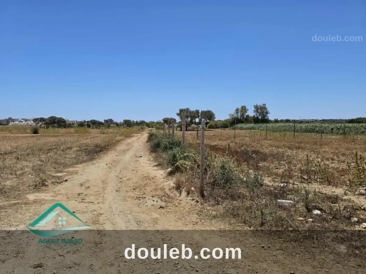 Vt915 terrain 600 m2 à ezzahra kelibia à Nabeul