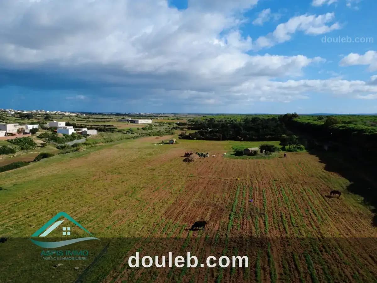 Vt809 terrain agricole à sidi daoued hawaria - Miniature 4