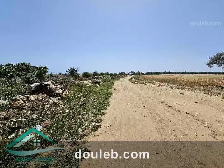 Vt904 terrain agricole 8755 m2 à kelibia à Nabeul