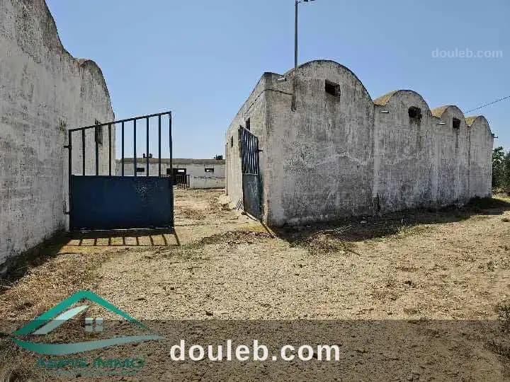 Vt903 terrain agricole 14280 m2 à kelibia à Nabeul