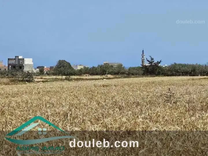 Vt903 terrain agricole 14280 m2 à kelibia - Miniature 4
