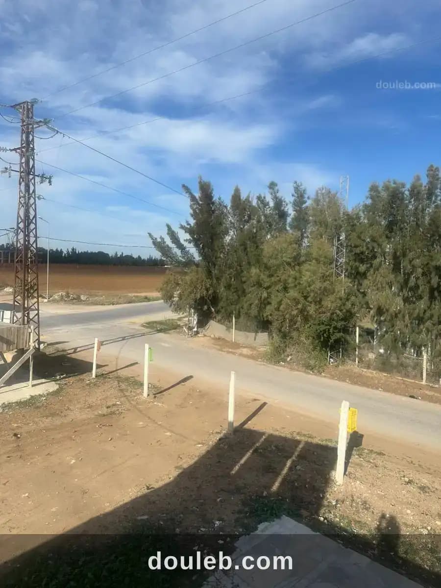 Un hectare irrigué et cloturé à mornag à Ben Arous