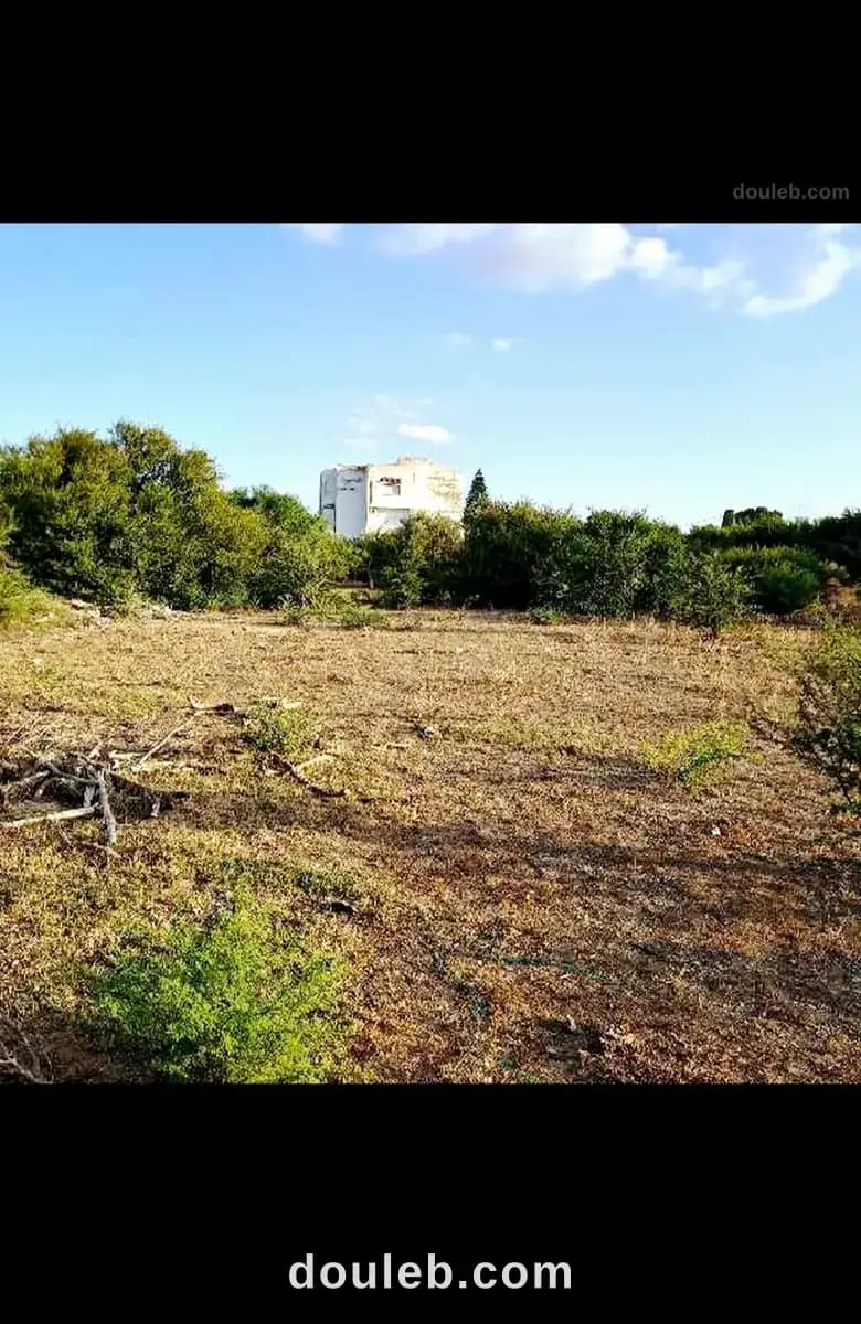Terrain constructible de 1653m2 - Miniature 4
