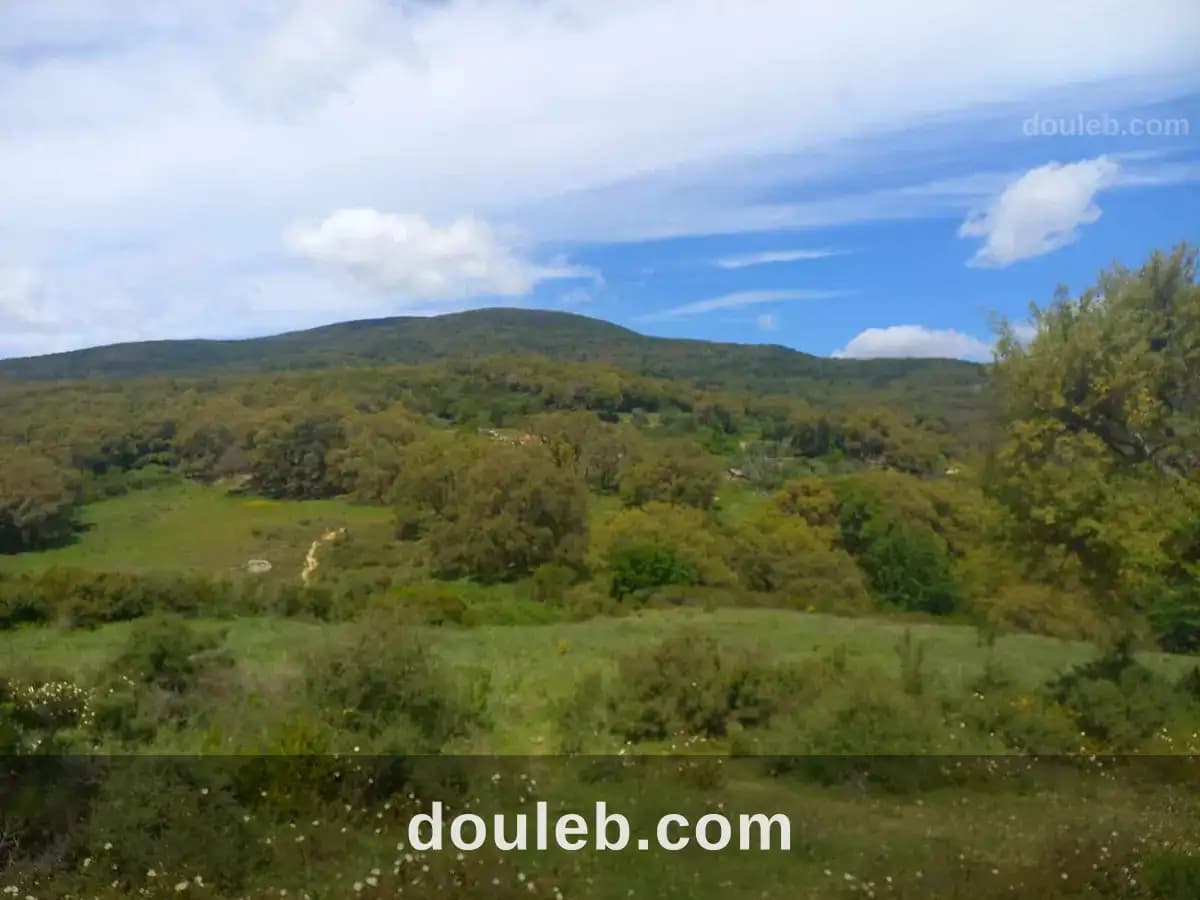 Lots de terrains à beni mtir à partir de 500m2 à Jendouba