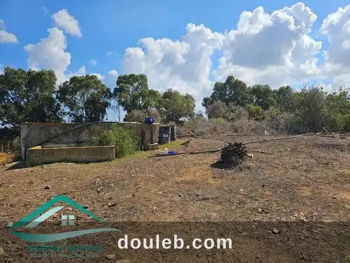 Vt849 terrain agricole 13500 m2 à kerkouene à Nabeul