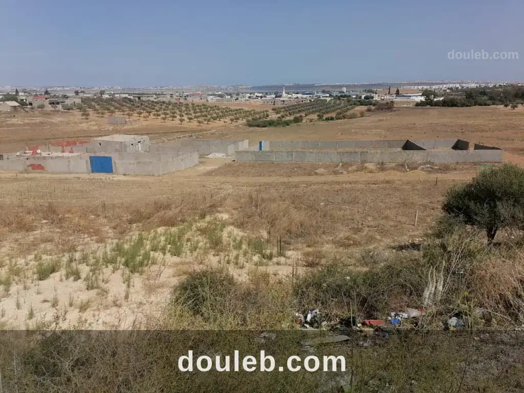 4 lots de terrains à Tunis