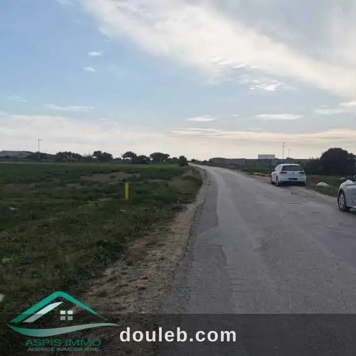 Vt790 terrain agricole 5966 m2 à menzel temim à Nabeul