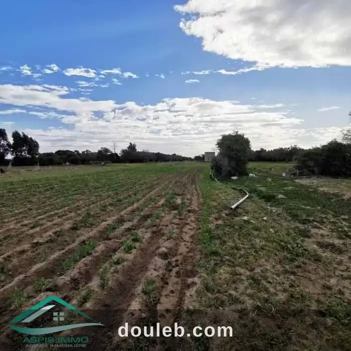 Vt778 terrain agricole 5396 m2 à hamam ghzez à Nabeul