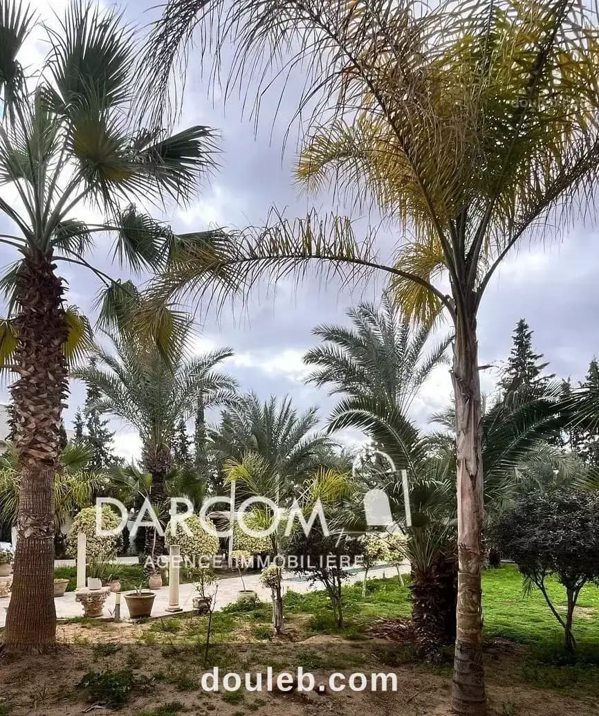 Terrain 500 m a soukra à Ariana