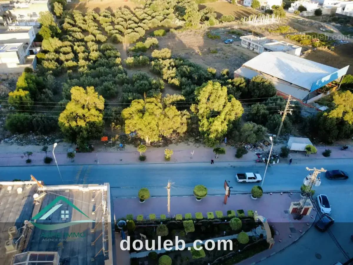 Vt684 terrain commercial 13500 m2 à kelibia - Miniature 2