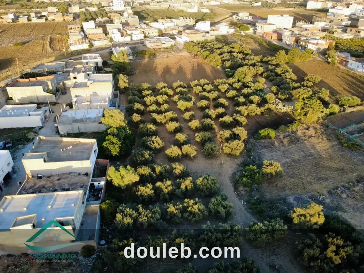 Vt684 terrain commercial 13500 m2 à kelibia - Miniature 4
