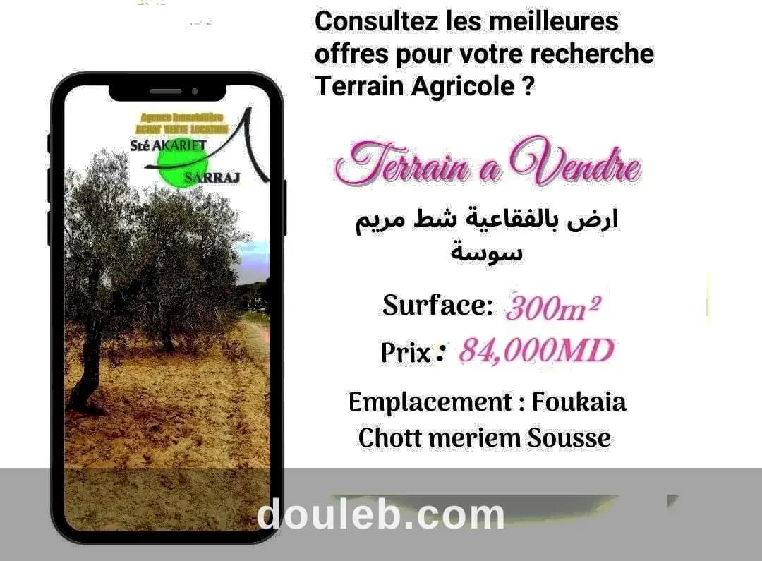 Offre terrain agricole titré 300m à fokaia à Sousse