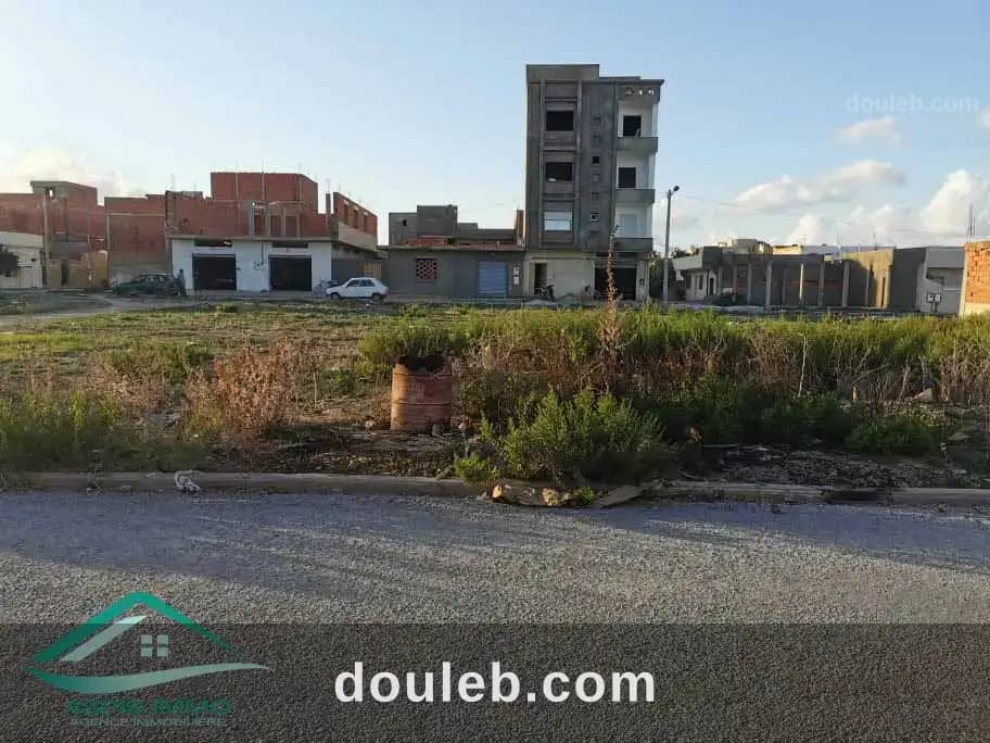 Vt656 terrain 200 m2 à cité tahert kelibia à Nabeul