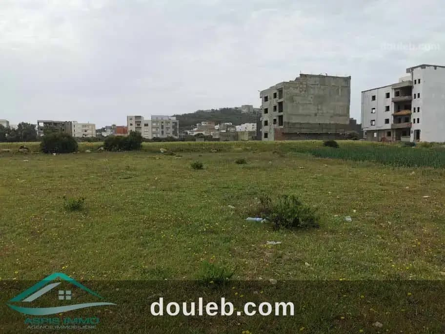 Vt595 terrain 359 m2 jinen el mansourah kelibia à Nabeul