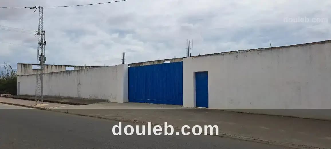 Usine zi kalaat andalous - Miniature 4