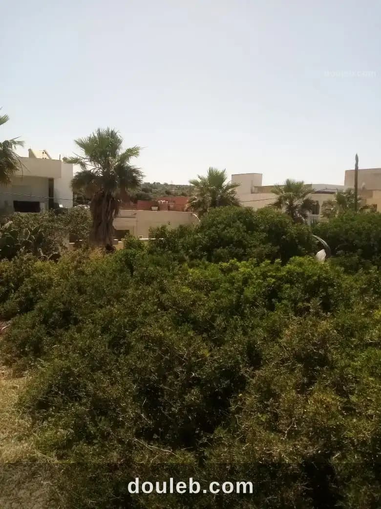Terrain a somâa nabeul - Miniature 2