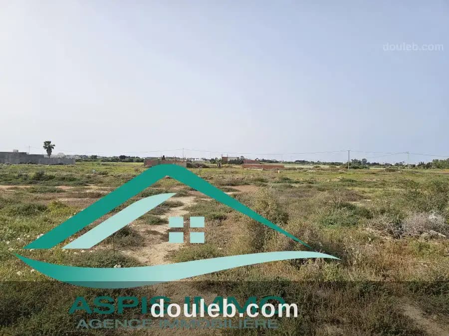 Vt987 terrain 300 m2 à kelibia - Miniature 2