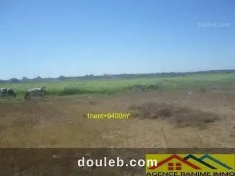 Terrain agricole de 1h et 9400m2 a el haouaria - Miniature 3