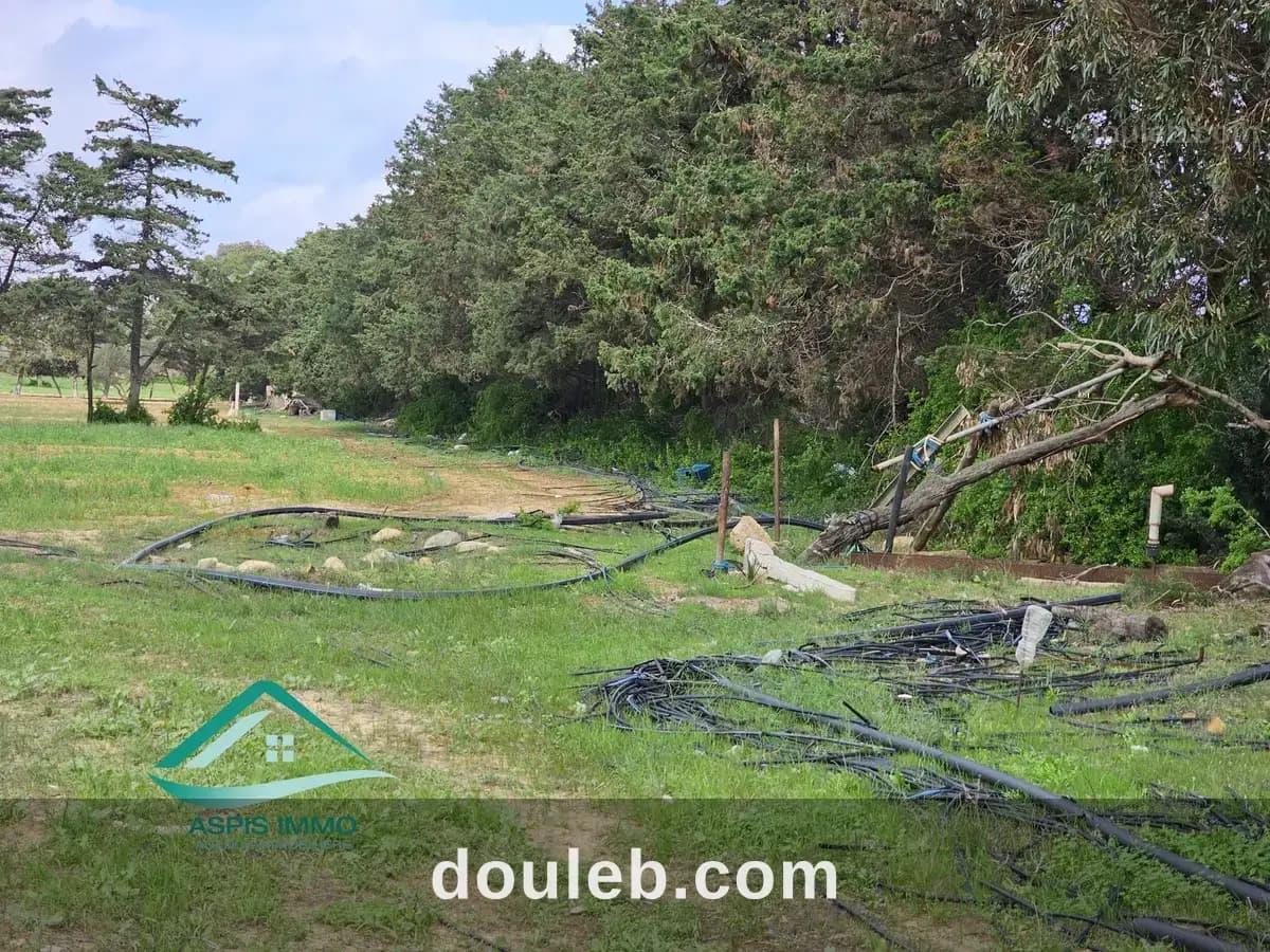 Vt955 terrain 1000 m2 à kerkouene - Miniature 2