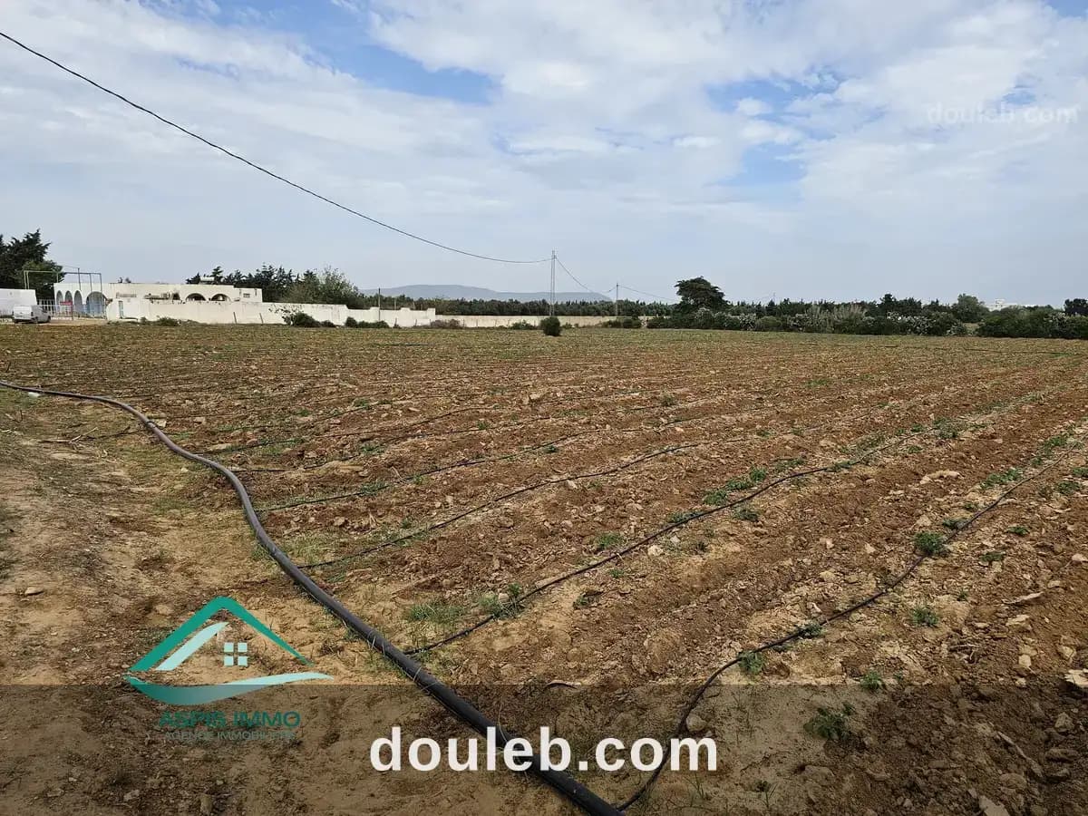 Vt942 terrain agricole 32180 m2 à dar allouch - Miniature 2