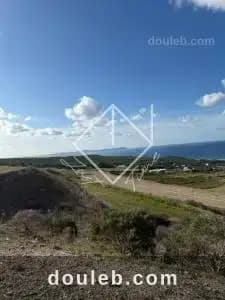 Terrain bizerte ref219a - Miniature 2