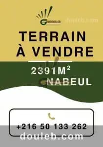 Terrain nabeul ref313a à Nabeul
