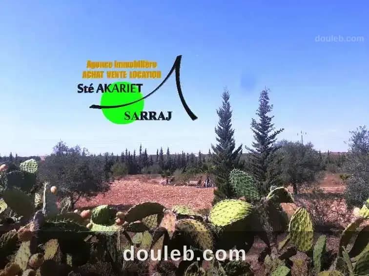 Deux terrains cloturé à sidi bouali vers knana - Miniature 3