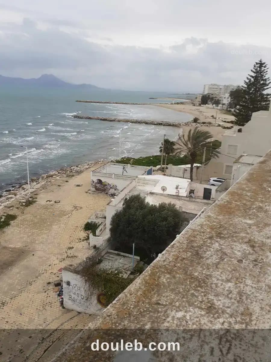 Au bord de la mer - Miniature 4