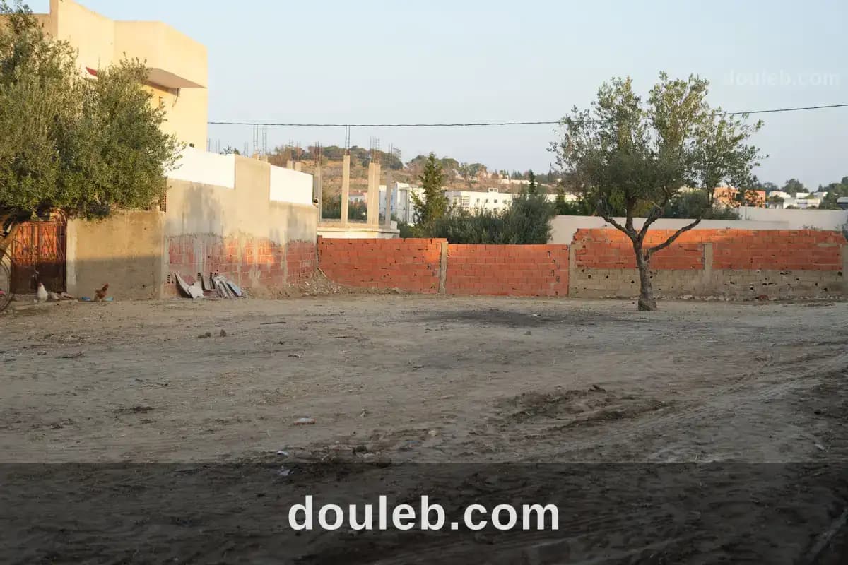 Terrain a zaghouan - Miniature 3