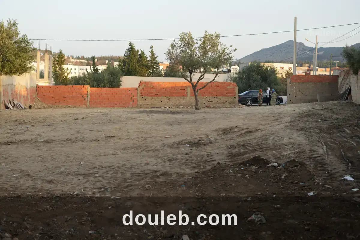 Terrain a zaghouan - Miniature 4