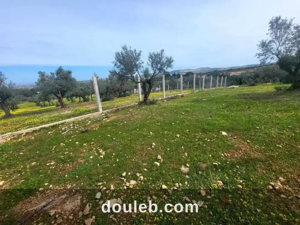 'un beau terrain 320 m2 à Ariana