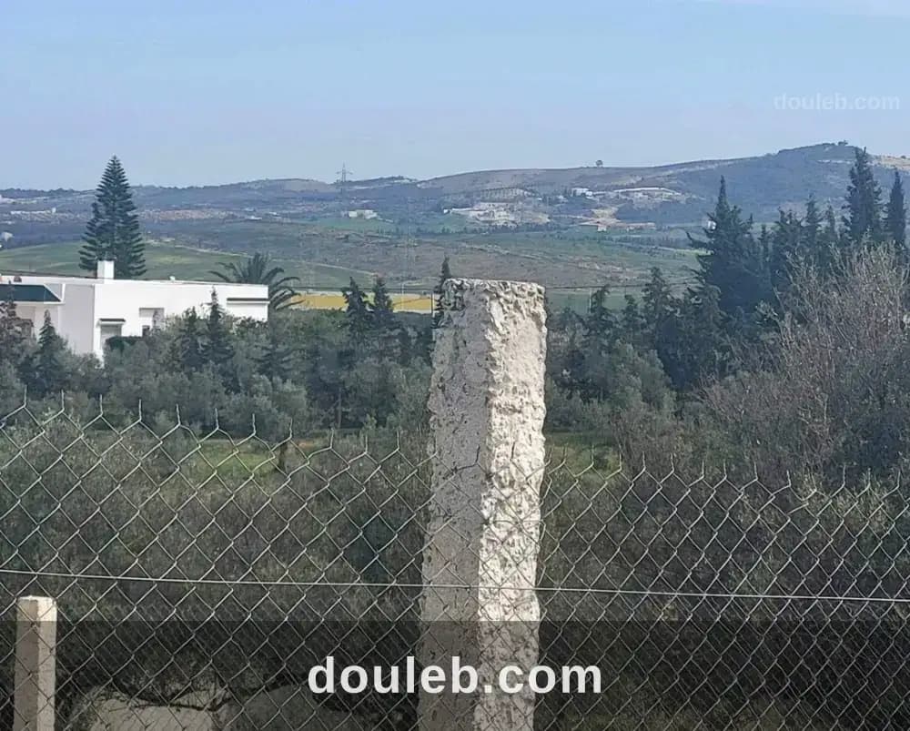 'un beau terrain 320 m2 - Miniature 3