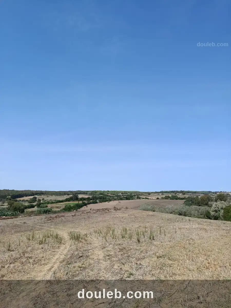 Terrain agricole à Bizerte