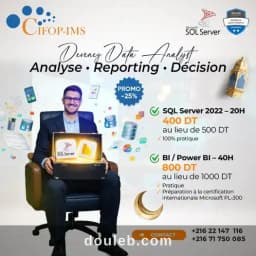 Parcours data analyst sql bi power bi