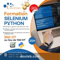 Formation sélénium python