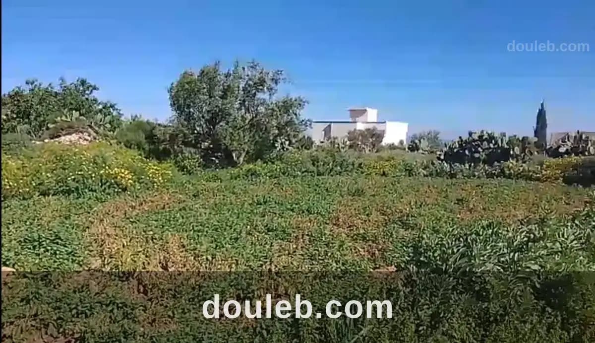 Rafraf plage à Bizerte