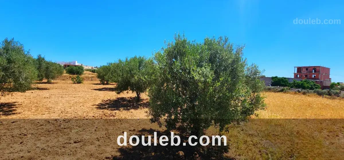Terrain 8 lots ghennada monastir titre bleu - Miniature 2