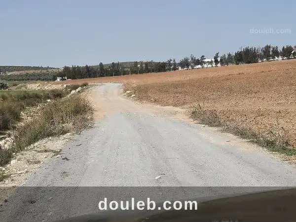 Des lots agricole de 1000 m2 à Tunis