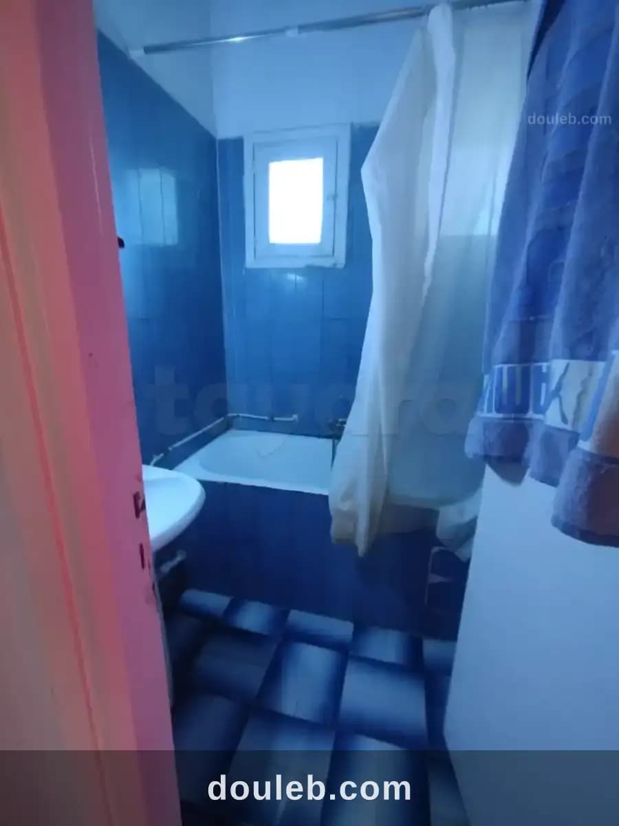 Un mignon appartement s2 meublé à manar2 - Miniature 5