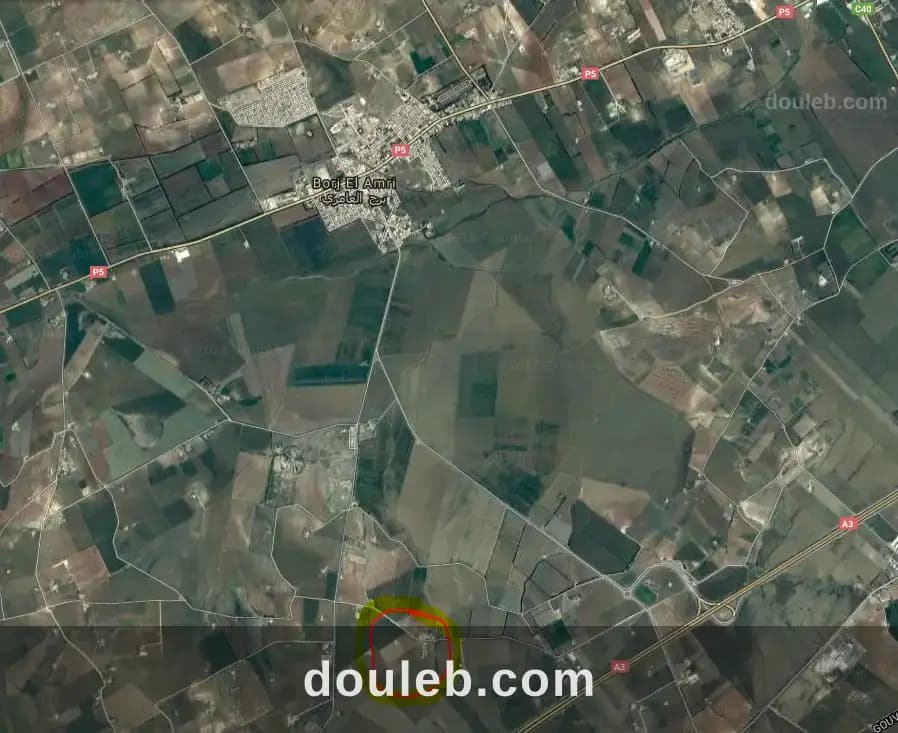 Terrain agricole 2 hectares borj el amri - Miniature 2