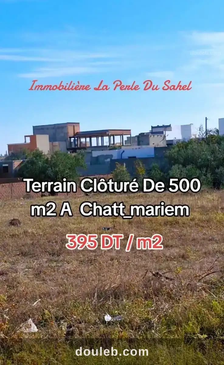 Terrain chatt mariem - Miniature 3