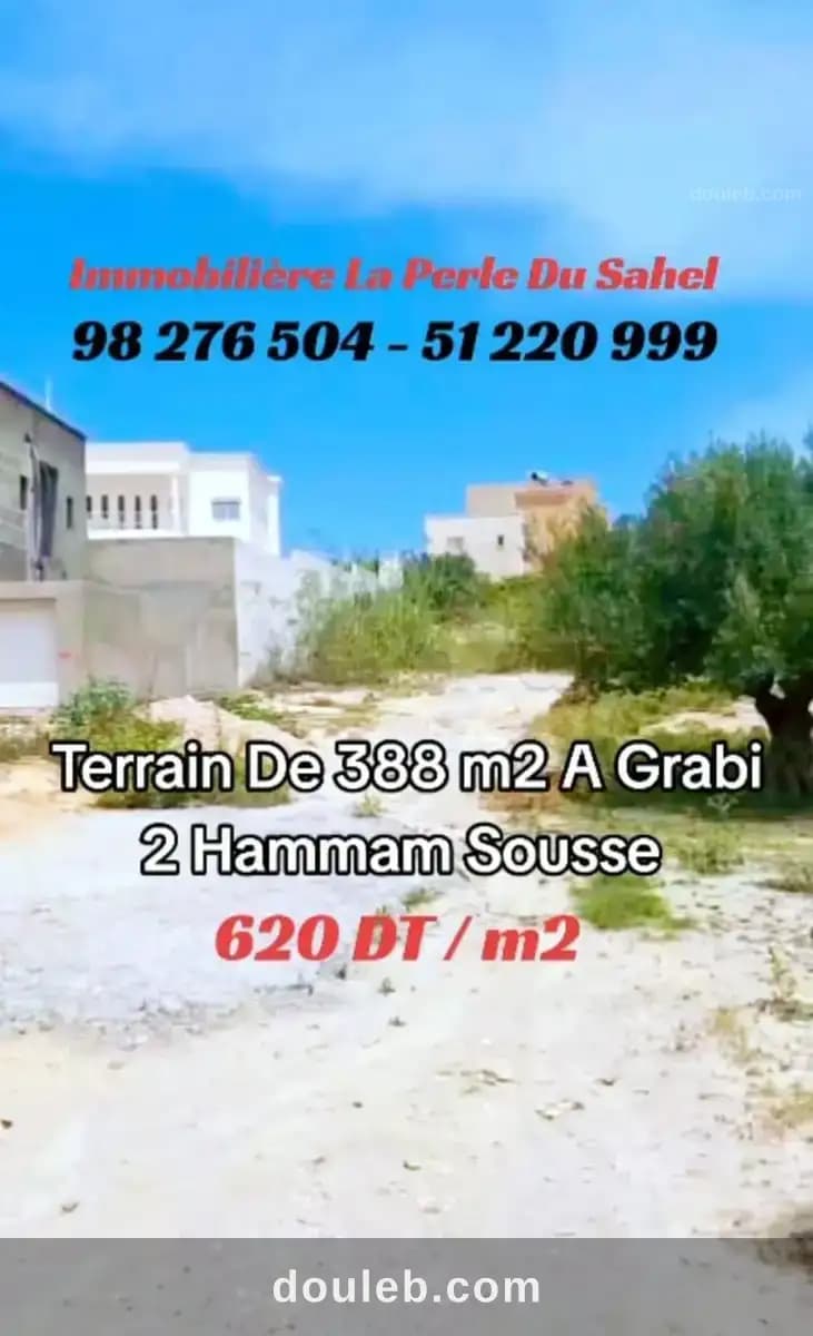 Terrain hammem sousse - Miniature 3
