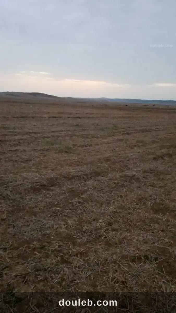 Offre terrain wed el khatef à Nabeul