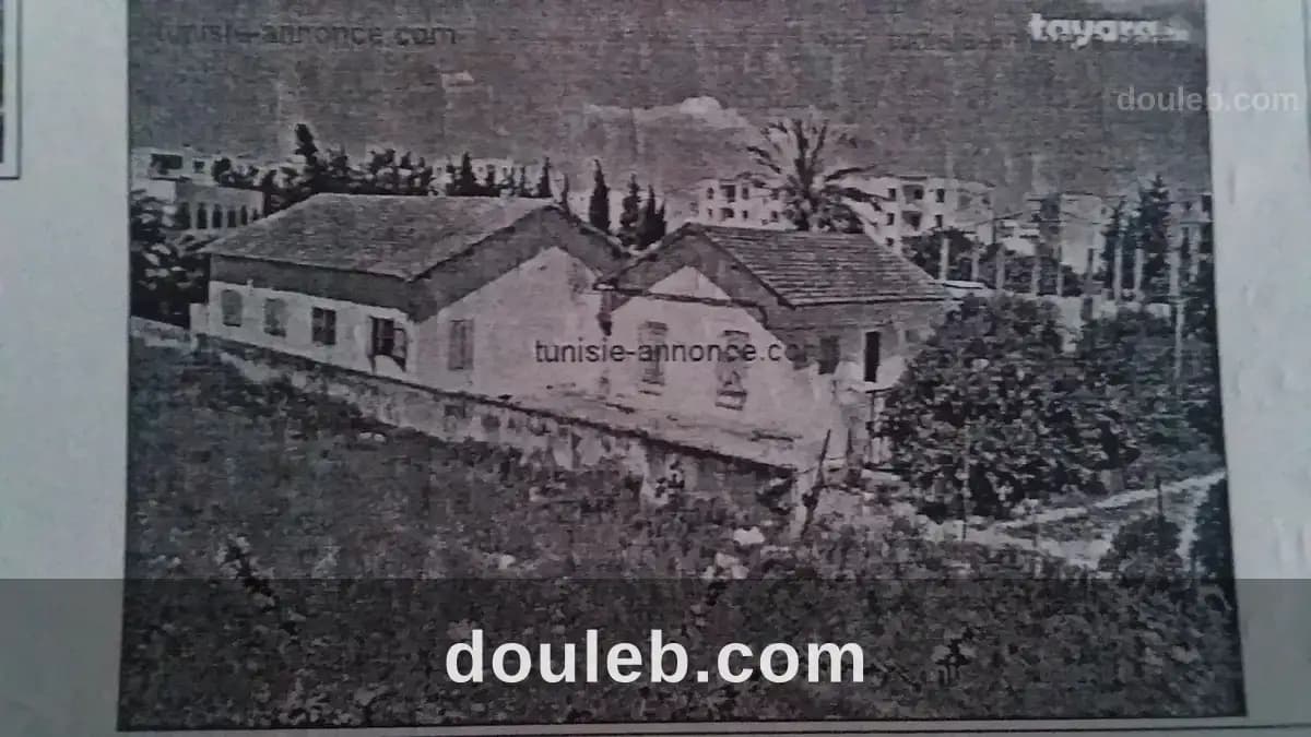 Cite el khadra à Tunis